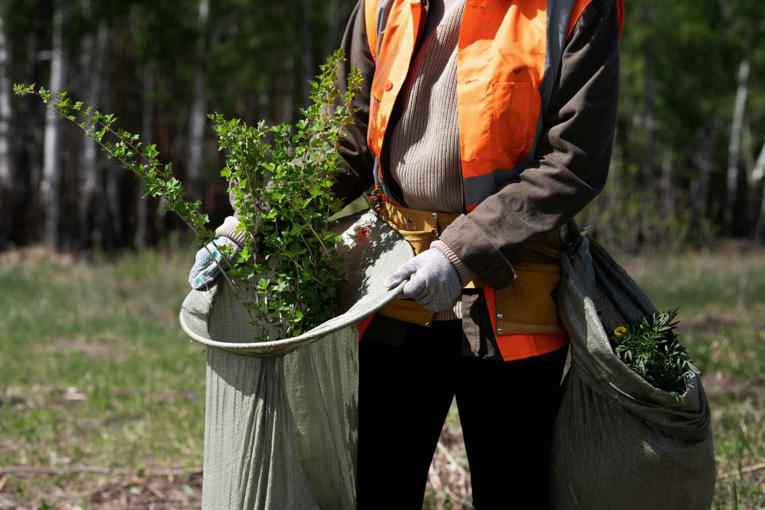 Best Tree Branch Trimming  in , WV